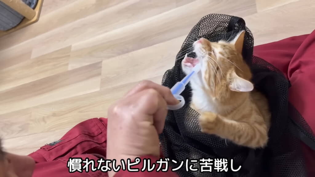 ピルガンでの服薬に激しく抵抗