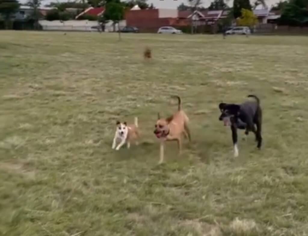 今は毎日が幸せ