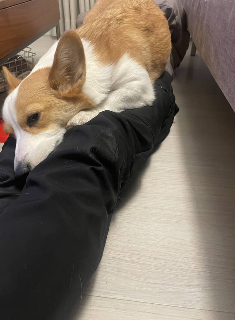 雪を食べすぎてお腹を壊してしまった曾良ちゃん