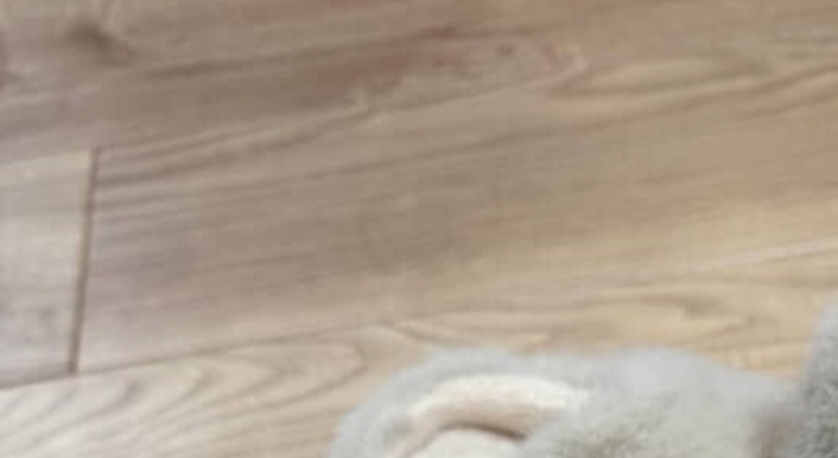 “いい大人で二児の母”の30代娘が、両親からもらったのは……「どこで買うねん!」過保護すぎる光景に「すげぇwww」(1/3) | ライフスタイル ねとらぼ