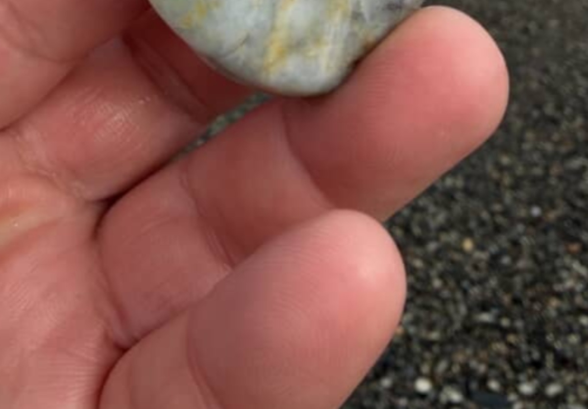 新潟の海で見つけた“緑の石ころ”→手に取ると…… 奇跡の出会いに「こりゃすごい」「エグ過ぎー!」(1/3) | ライフスタイル ねとらぼ