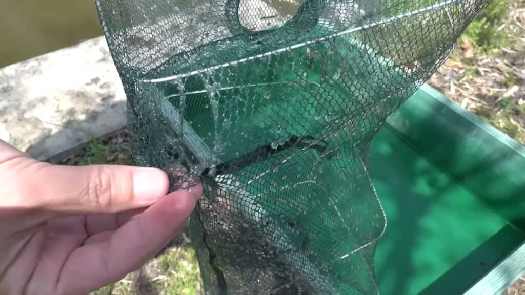 穴があいている100均の「魚捕り仕掛け網」