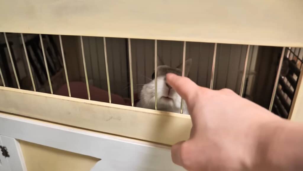 一旦、ぽぽちゃんとご対面