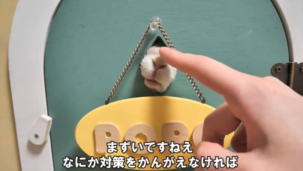 ぽぽちゃんのお鼻とお口がかわいすぎる!