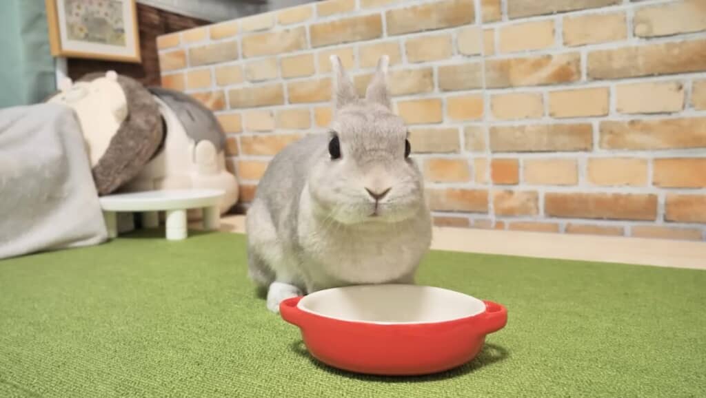 深夜のイタズラのことを忘れて朝ごはんに夢中