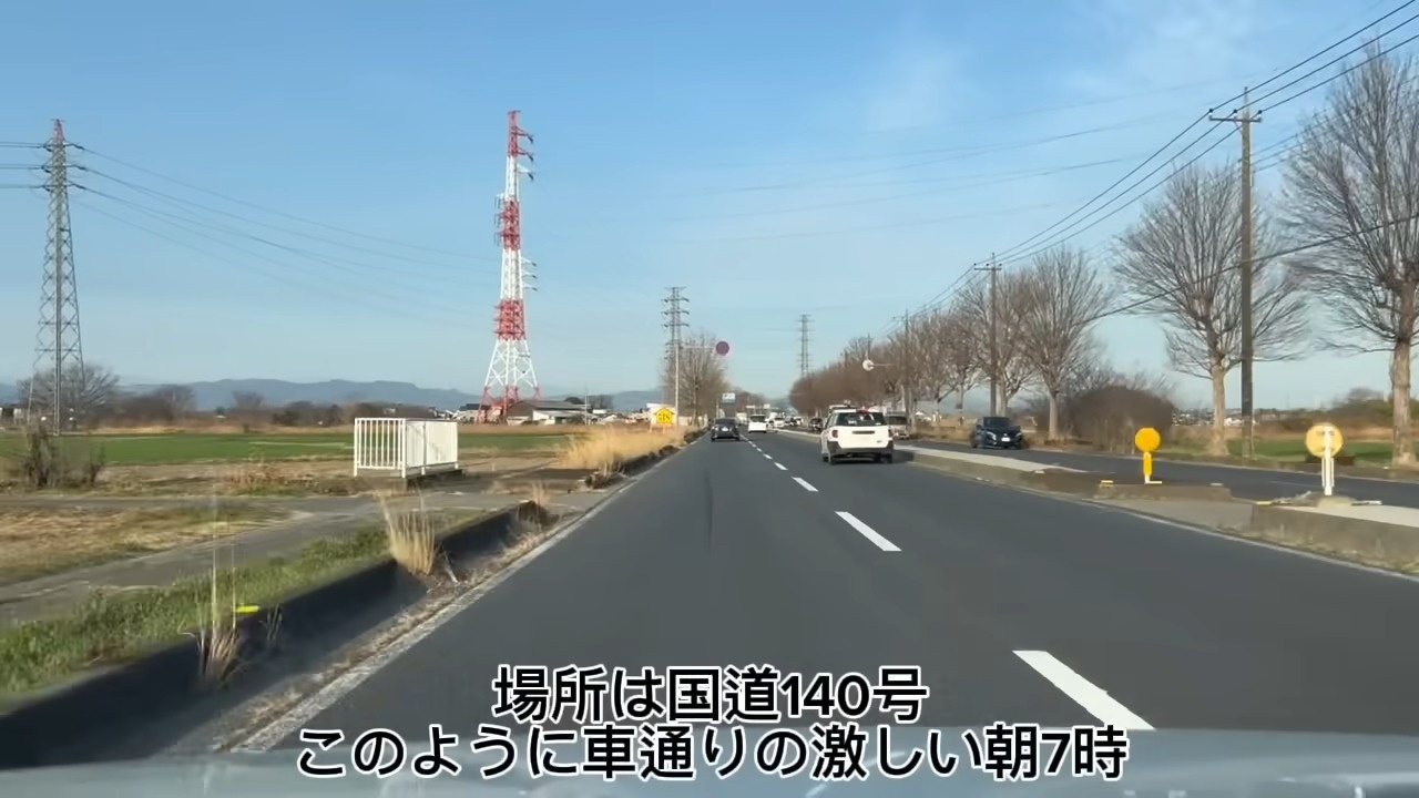 朝7時、国道を走っていたら……「良くぞ生きてた」「世界一強運」　衝撃の展開→“50日後の姿”に「奇跡」「涙がでてきた」（1/3） | 猫 ねとらぼ