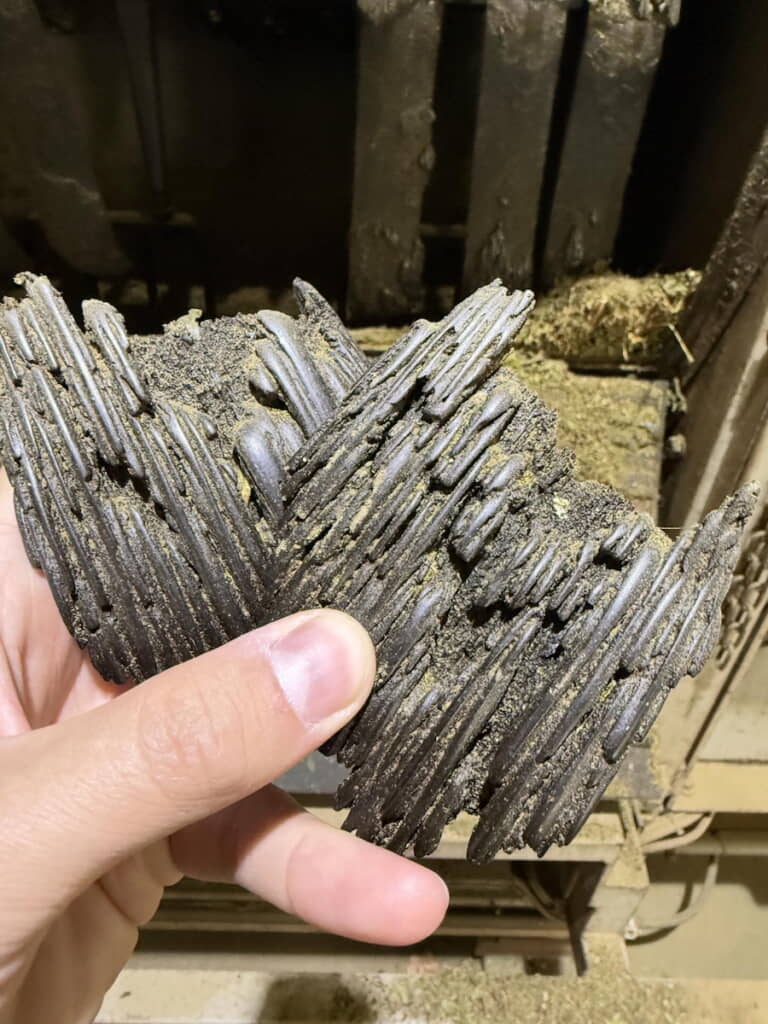 樹皮のように見えますが……
