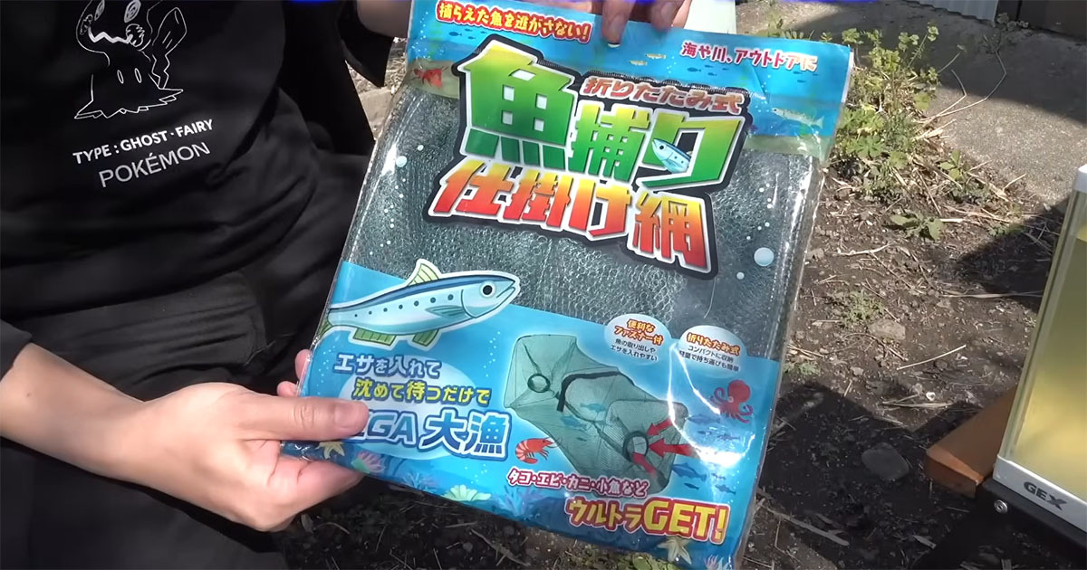 100均の罠を水路に仕掛けたら……　次々と出てきた生き物に「こんなたくさん捕れるなんて」「わくわくしました」（1/3） | その他生き物 ねとらぼ