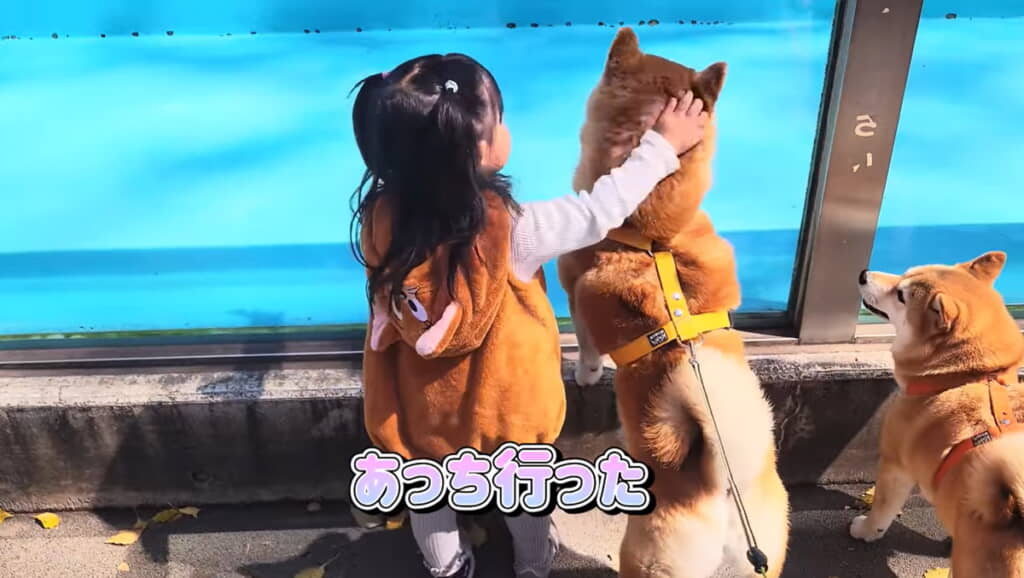 ひよりちゃんと背丈が同じぐらい