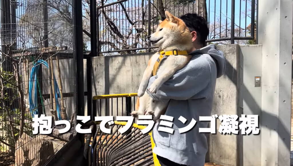 満足そうな表情にほっこり