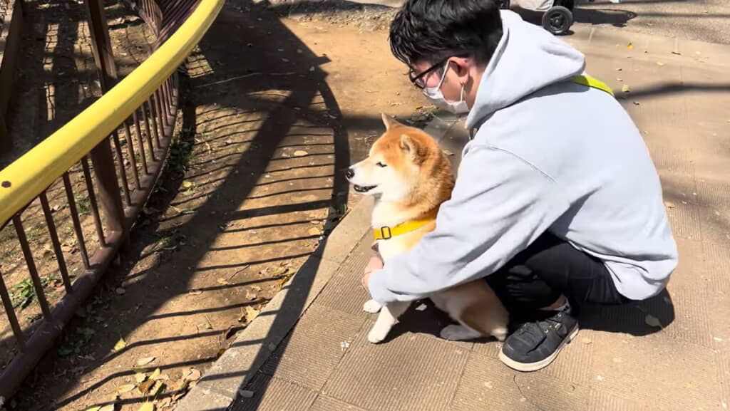 抱っこ待ちの体勢