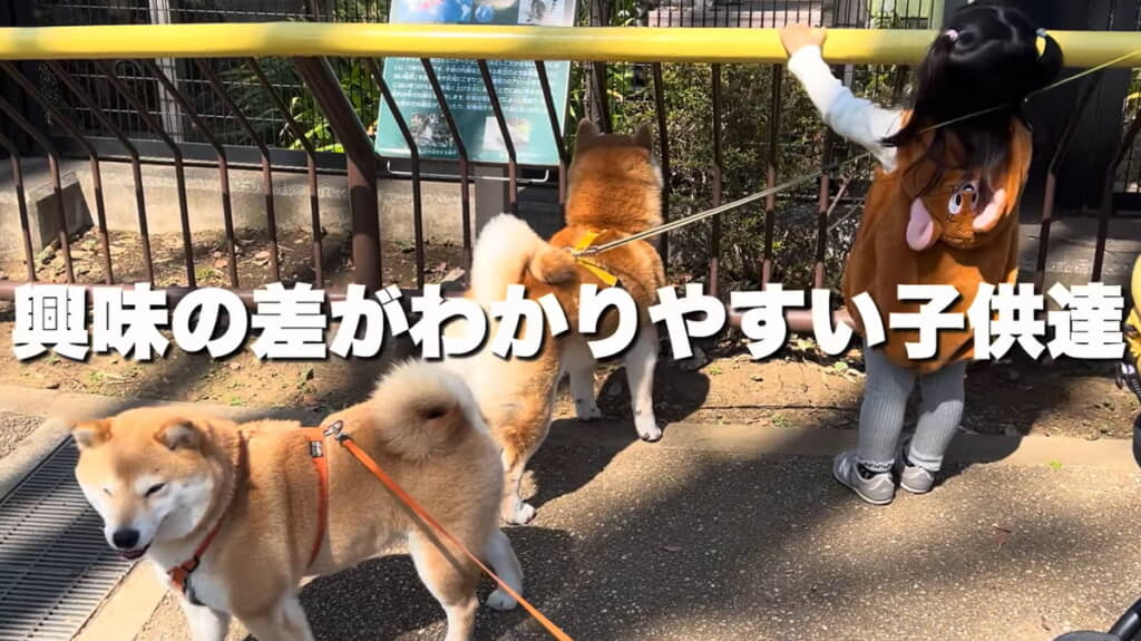 興味の差がハッキリ分かれてますね