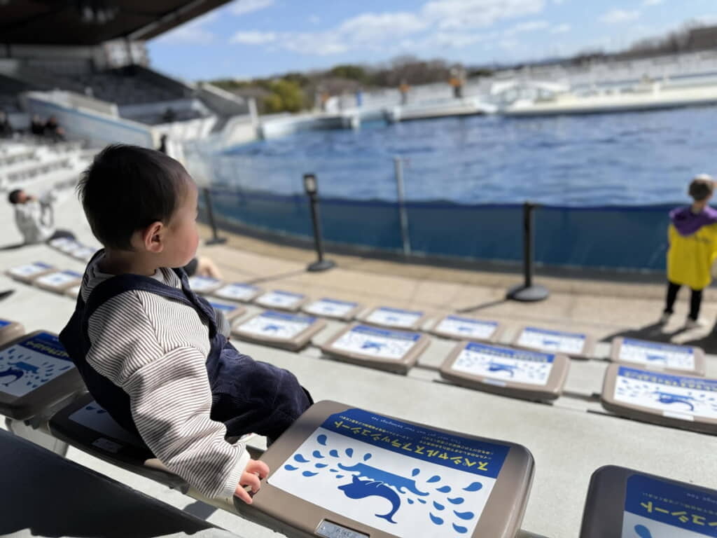 スペシャルスプラッシュシート！　これはためらってしまいますね