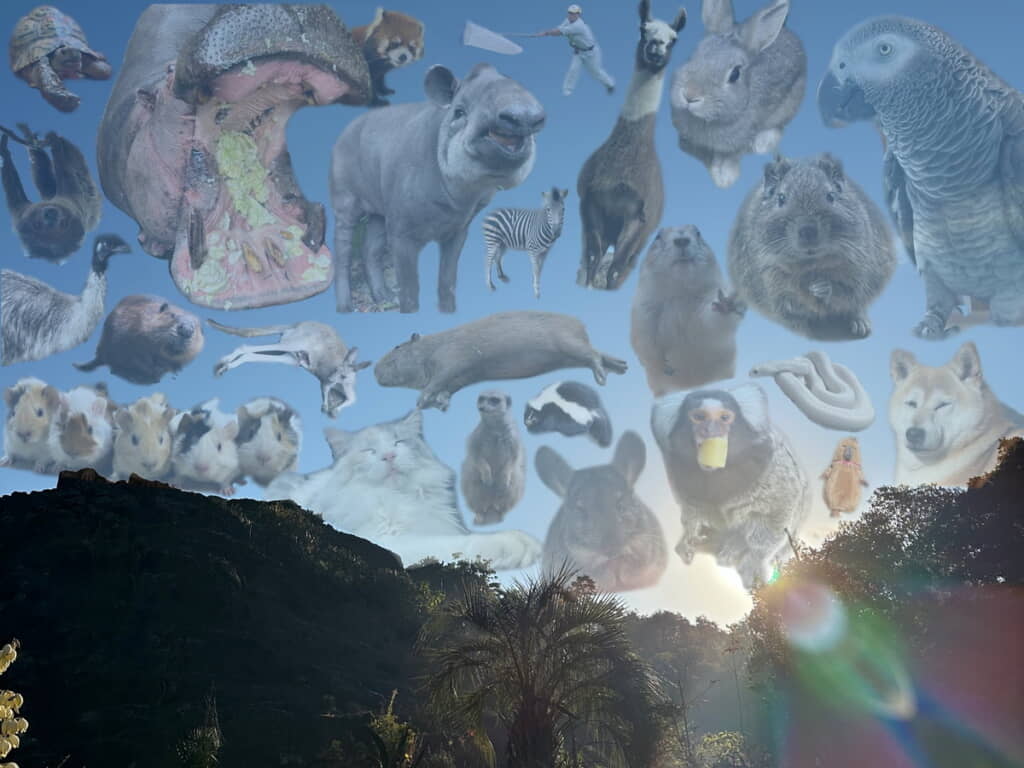 景色に重なるあの子とあの子とあの子と……