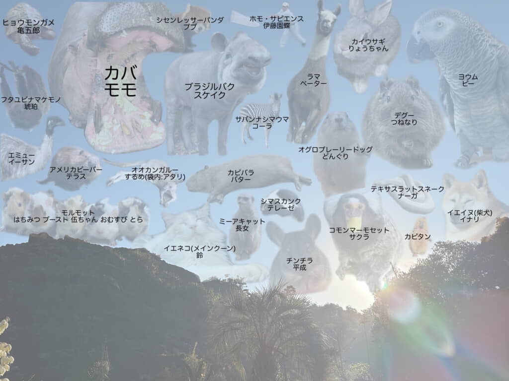 確かな存在感を放つ伊藤園蝶