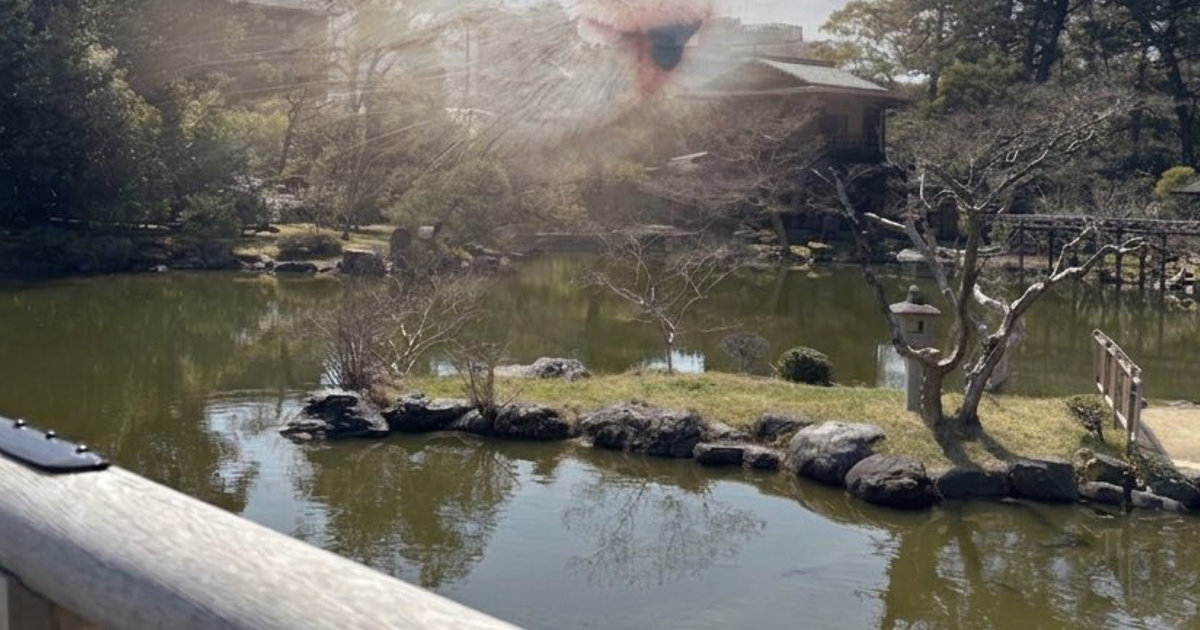 「京都来てるんだけど旅先でも常にこれ」　猫の飼い主が投稿した“共感しかない写真”が4200万表示　「めちゃくちゃわかる」「先月これだった」（1/2） | 猫 ねとらぼ