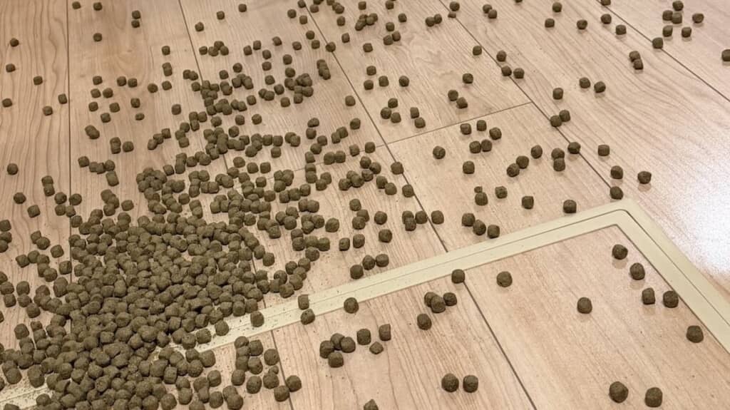 床に大量のペットフードが……