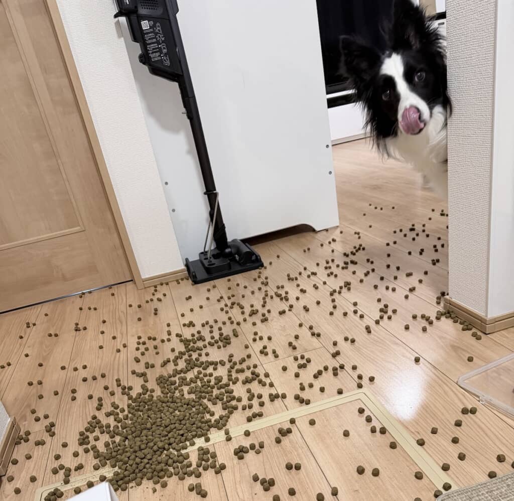 エマちゃんに助けを求めるべき!?