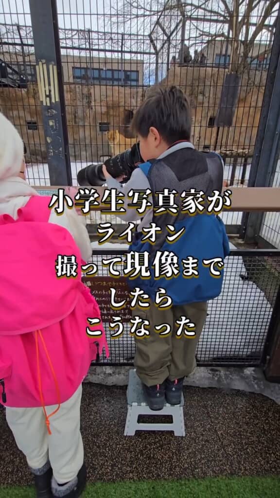 小学生写真家が動物園で撮影