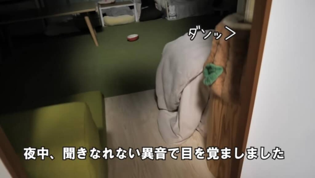 深夜2時に隣の部屋から“異音”→何事かと見に行くと……　「笑い止まらんww」まさかの光景に「なにしとんww」（1/3） | 小動物 ねとらぼ