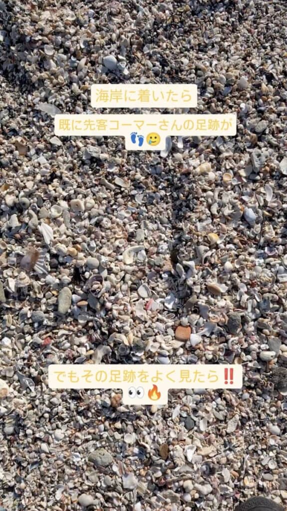 無数の貝殻で覆われた海岸で、先客の足跡を発見