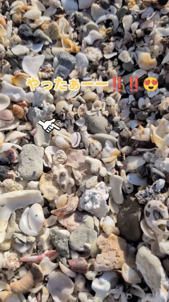 近づいてよく見ると……