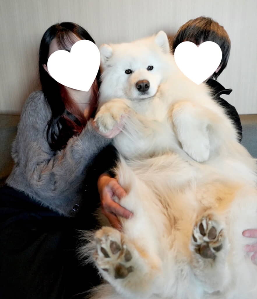 すくすくと成長しました！