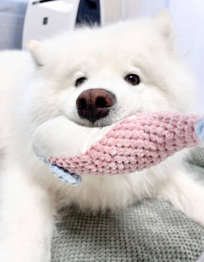 あむあむかわいい～！
