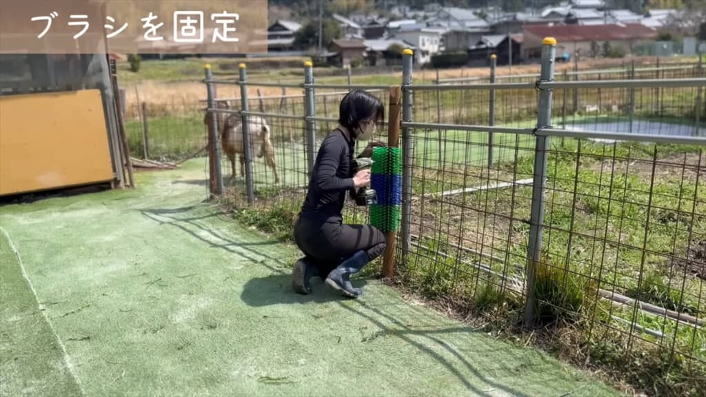 ヤギにブラシをプレゼントしてみた結果
