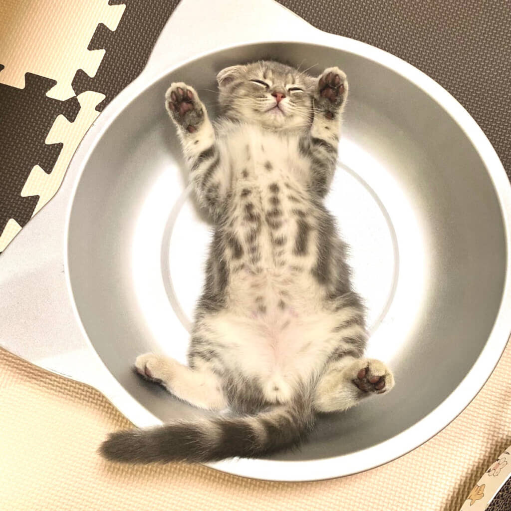 3年前のまんぼうくん