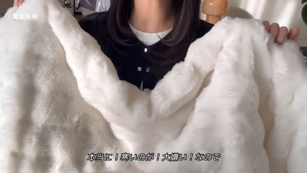 新入りの電気毛布