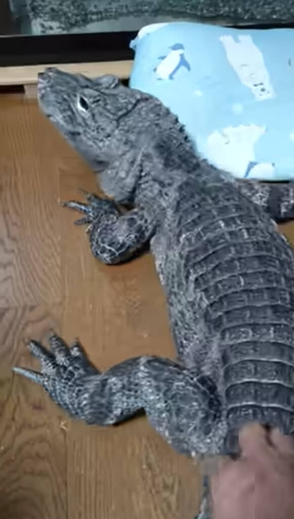 ようやく起き上がってくれました