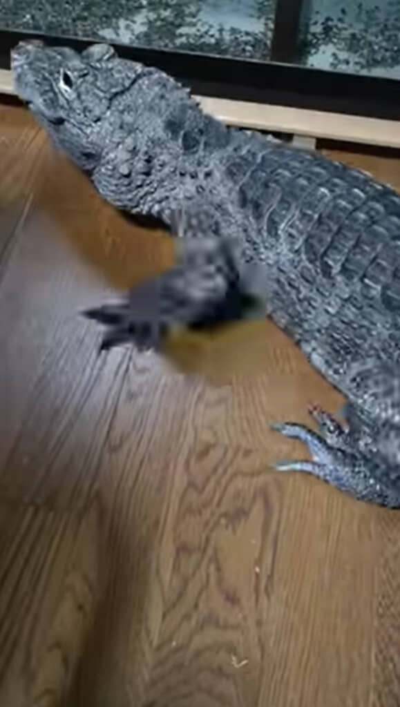 スローリーな帰宅