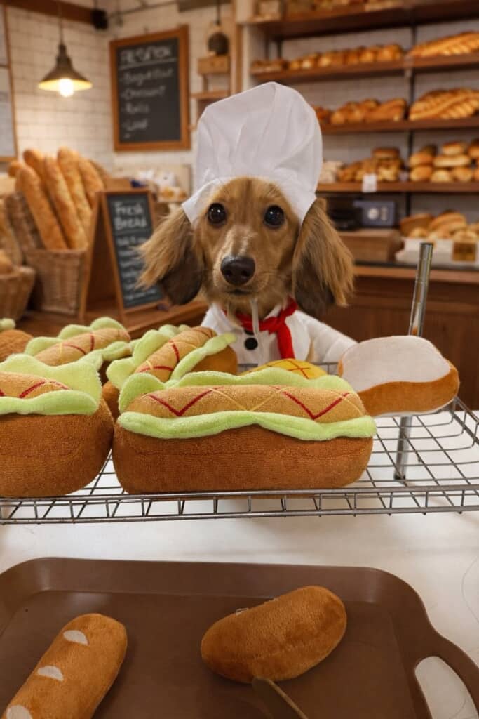 パン屋、始めました