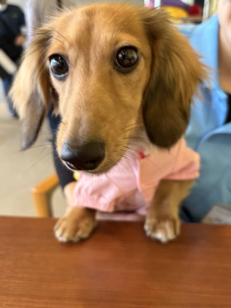 変顔ばかりじゃないよ！