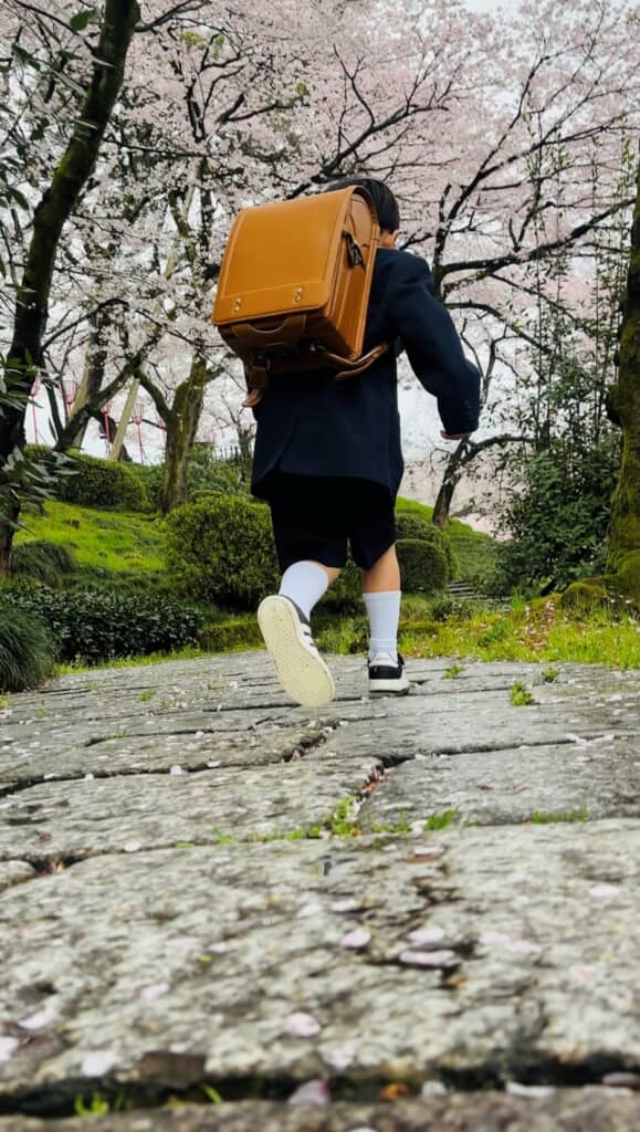 ランドセルを背負って桜並木の中を歩く息子くん