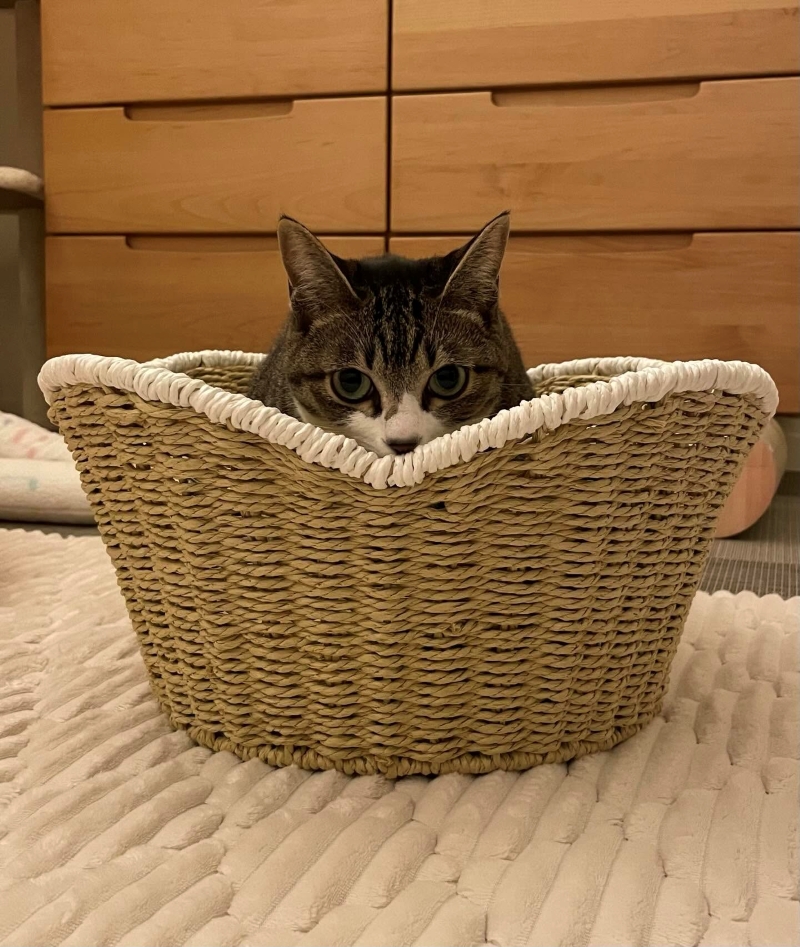 いい感じで入ってる！