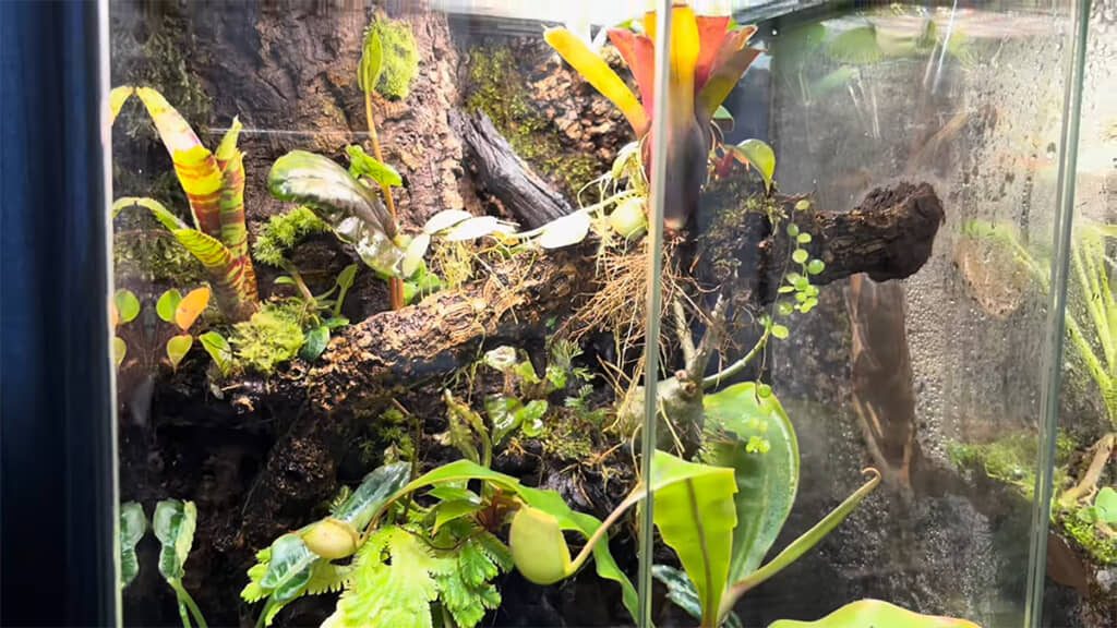 ピカピカになりました