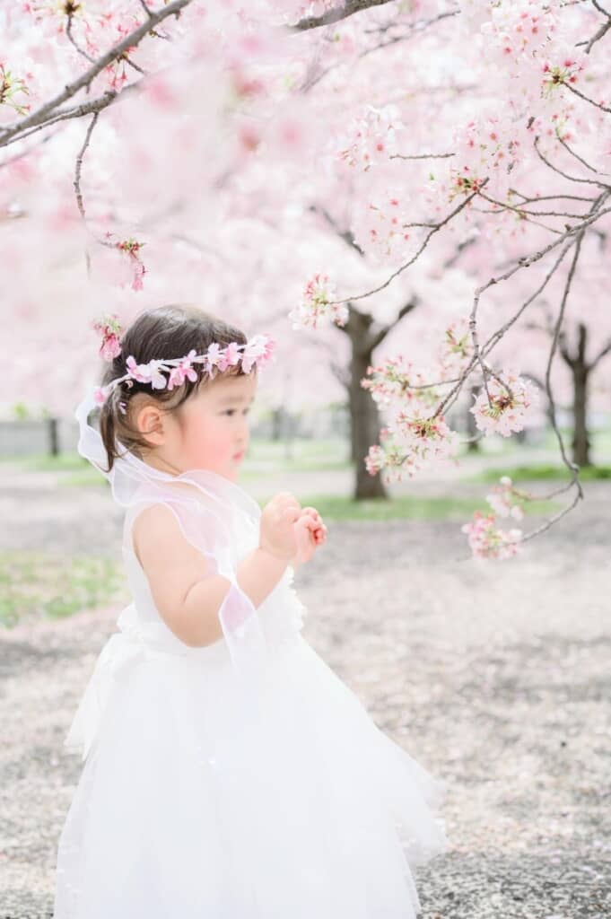 桜の花を見つめる娘ちゃん