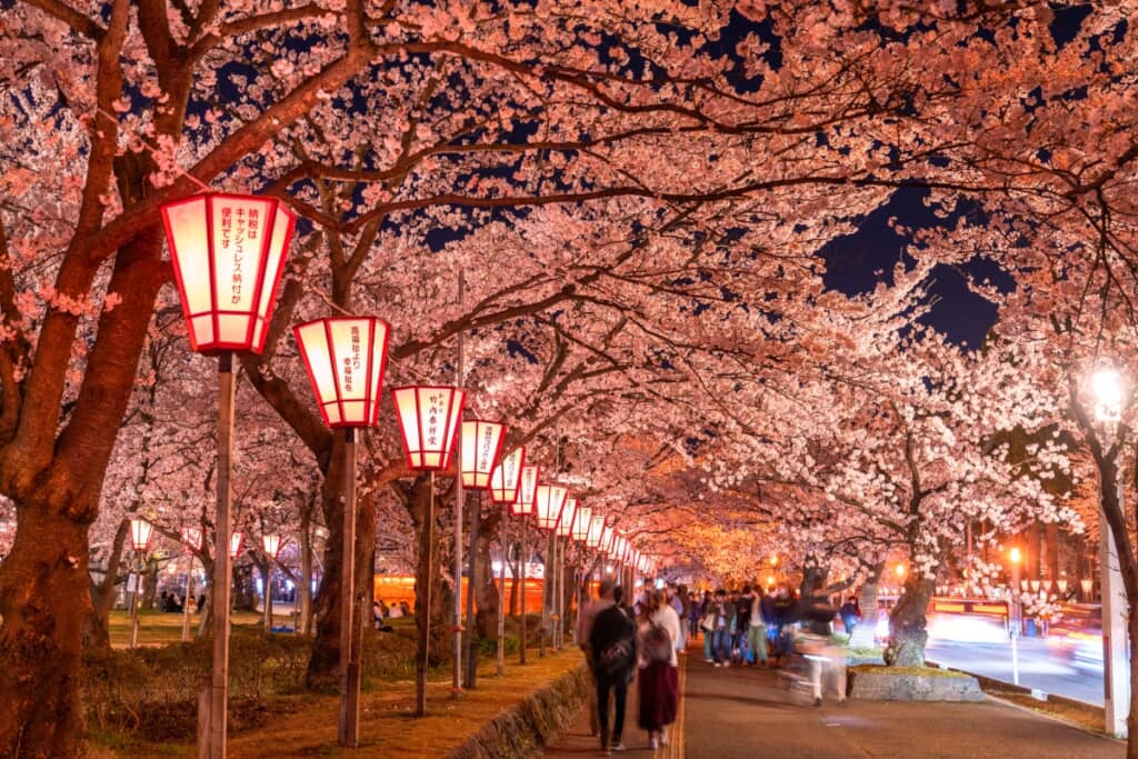 夜桜デートで撮れた写真とは（出典：PIXTA）