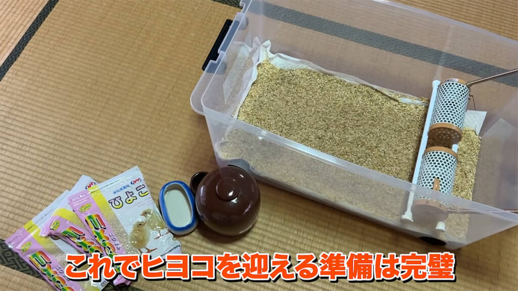 ヒヨコを迎える準備は完了です