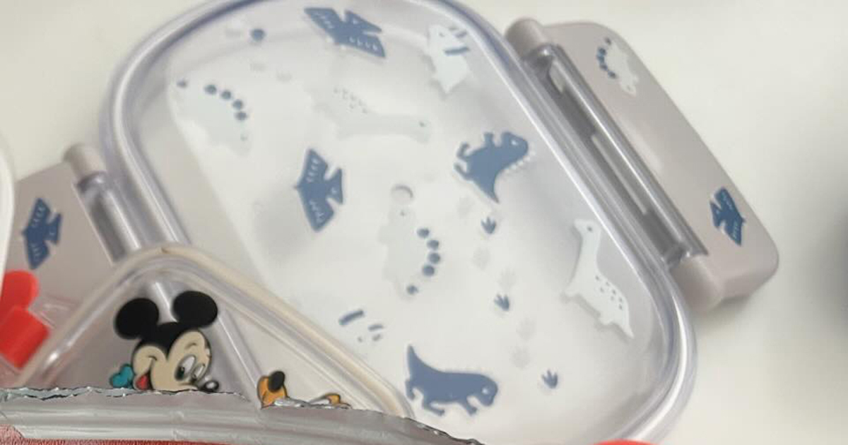 「やってしまった」→お弁当の日を忘れていたママ、5分で作ったのは……「こんなんなんぼあってもいい」「私のお弁当もこれが良いです」（1/2） | グルメ ねとらぼ