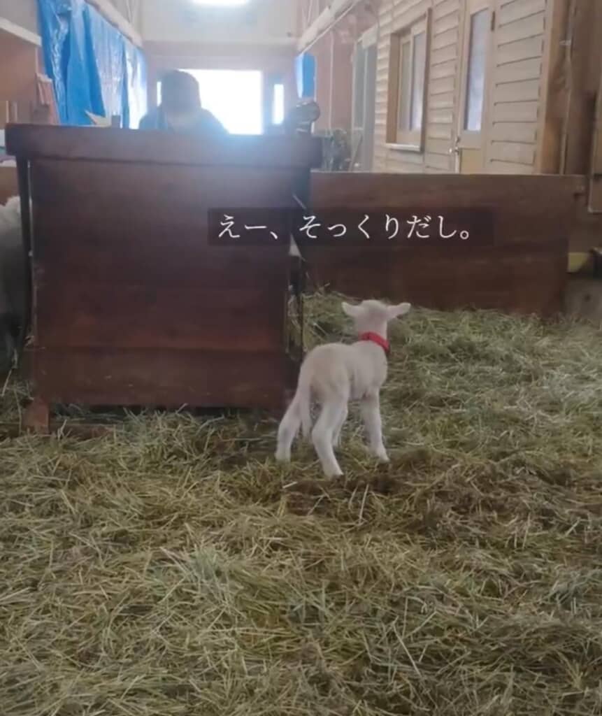 似てたのにな……