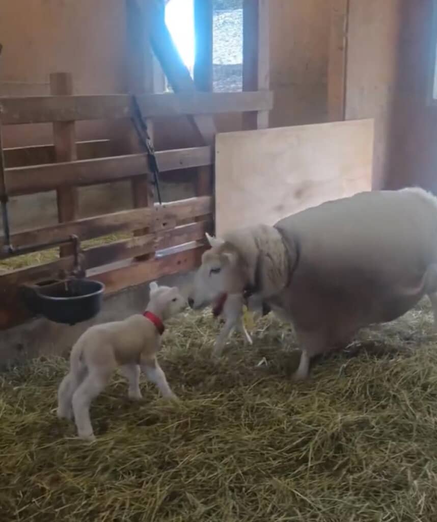 やっと会えた！