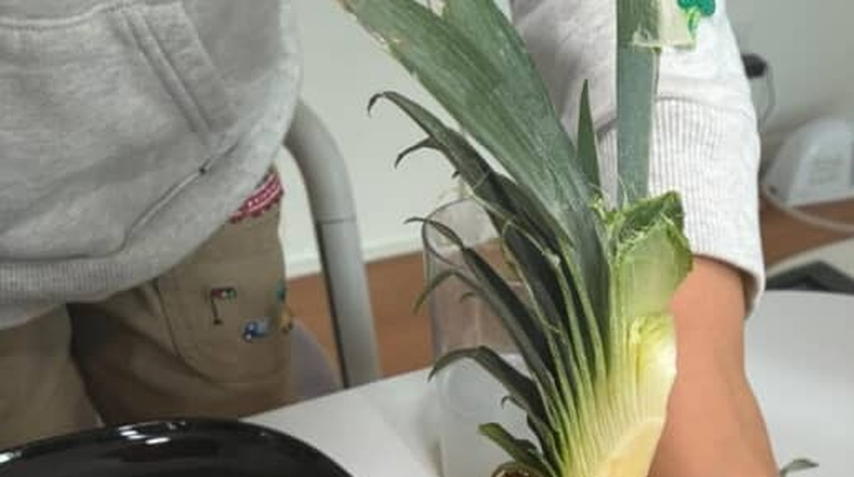 「おばあちゃんがフルーツ切ってくれた」と思ったら……　孫がひっくり返った光景に「王様のお部屋に運ばれてくるやつ！！」（1/3） | ライフハック ねとらぼ