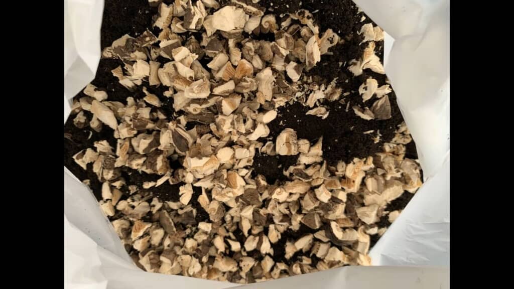 切り刻んだシイタケを土に混ぜ込む