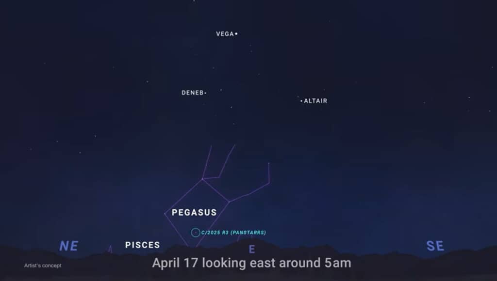 見どころは4月17日と予測