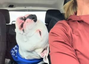 新しい飼い主のもとで歌い出したピーティー