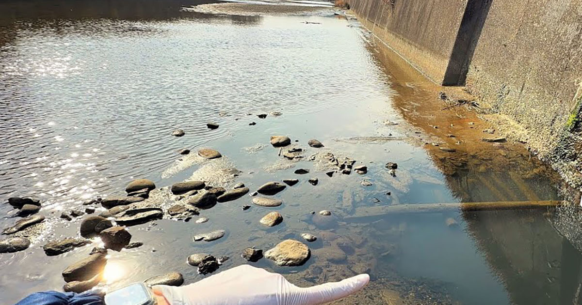 川の端っこにできた“謎の穴”→網を入れてみたら……　次々現れた生き物に「ちょっと多すぎ」「どれも立派なサイズ」「驚きました」（1/3） | その他生き物 ねとらぼ