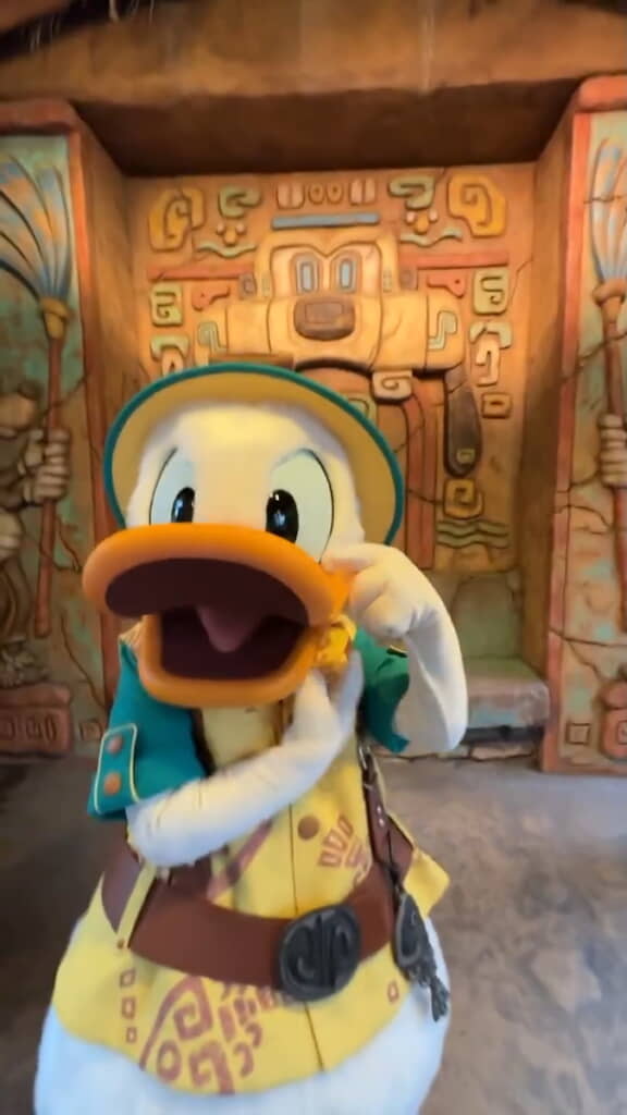 位置を確かめたいドナルド